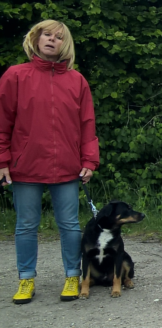 Gitte