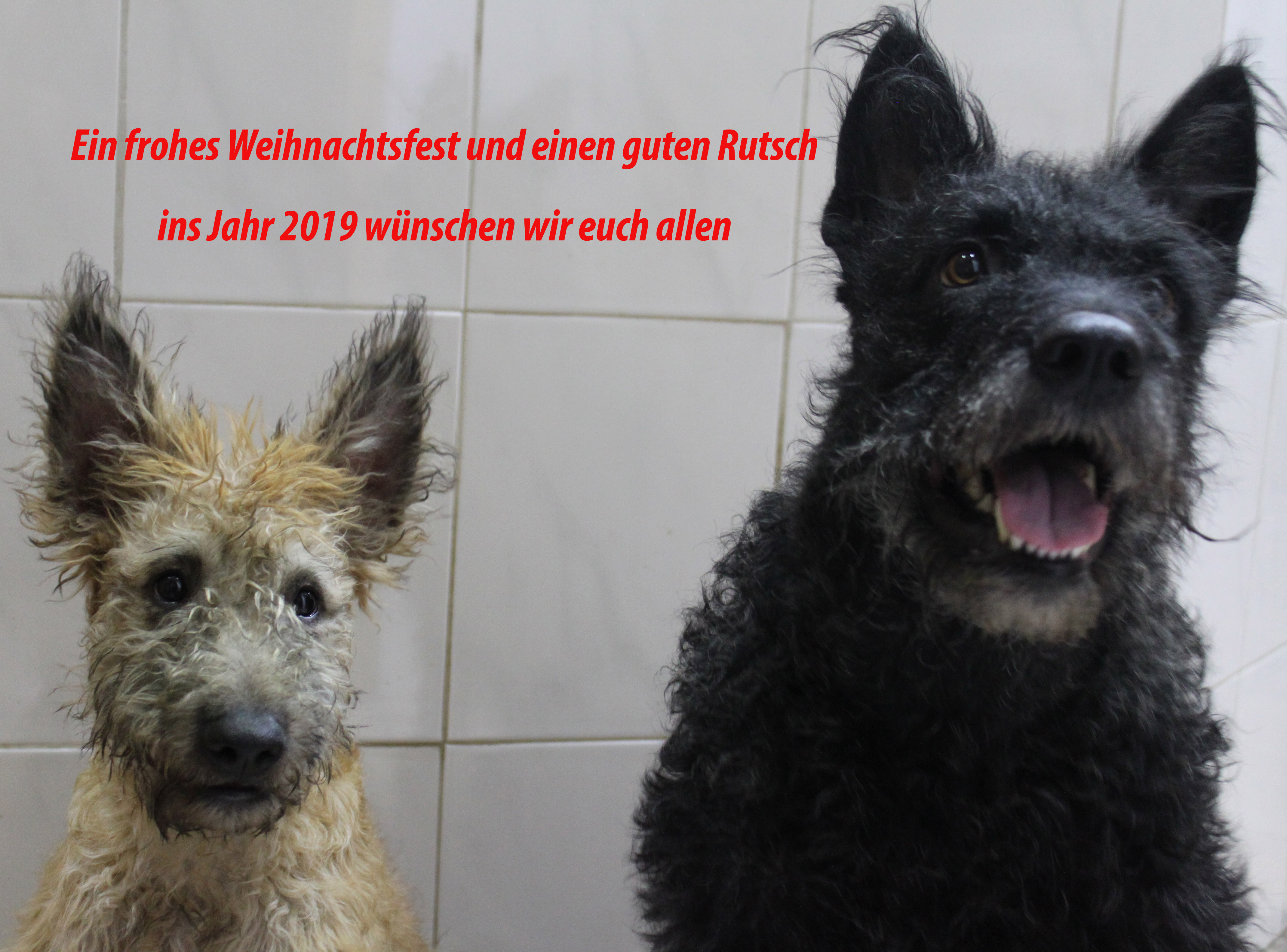 Weihnachtsgru Internet